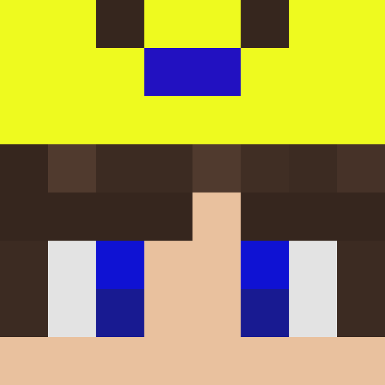 deminecrafterlol's skin