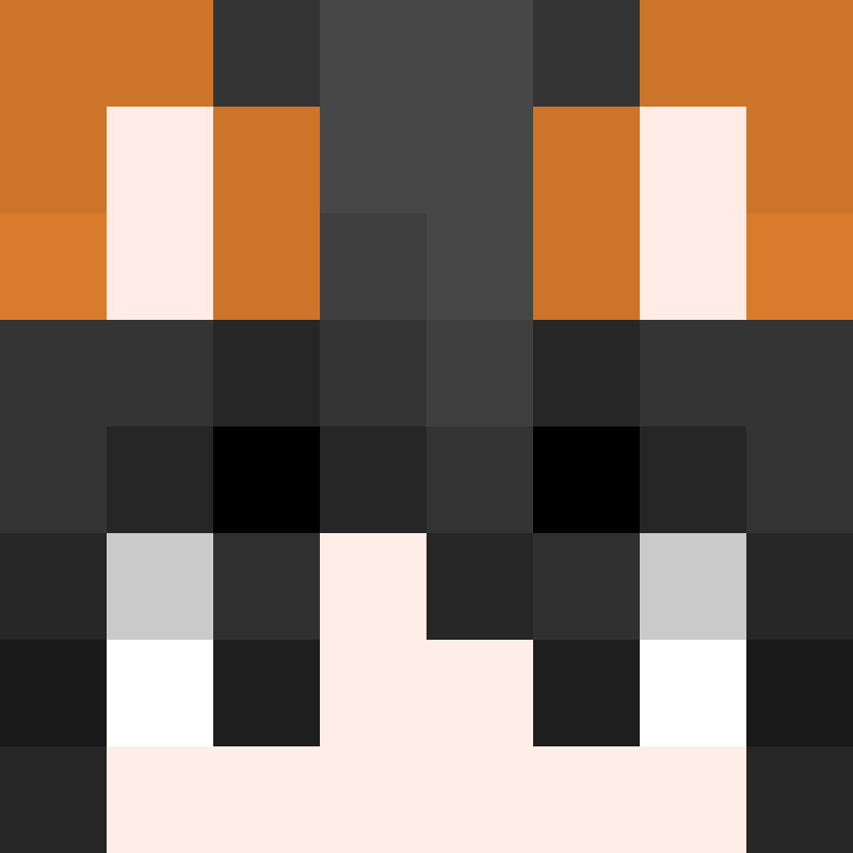 BukkitAPI's skin