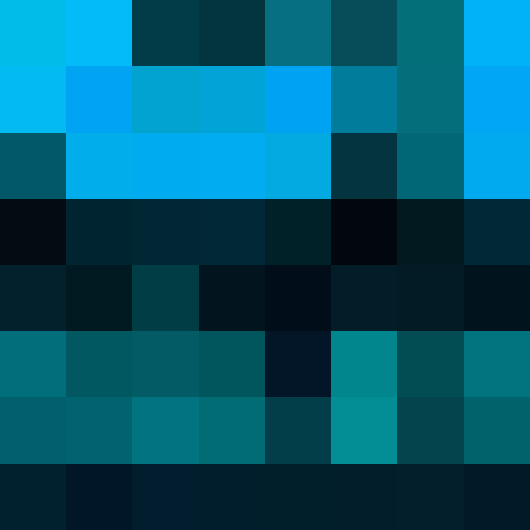 zervation's skin