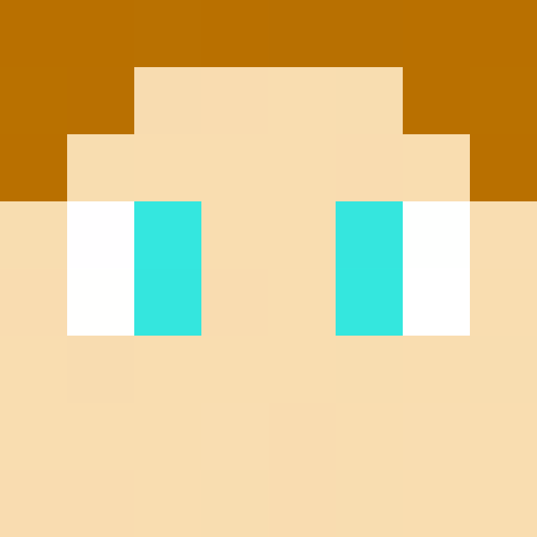 AidenE2012's skin