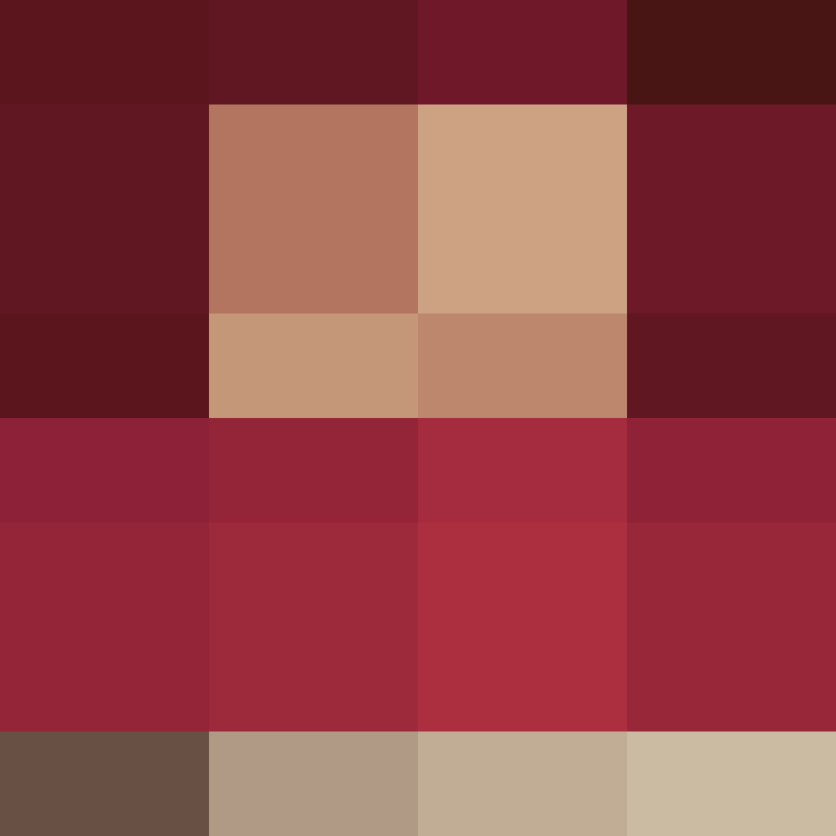hpyef's skin