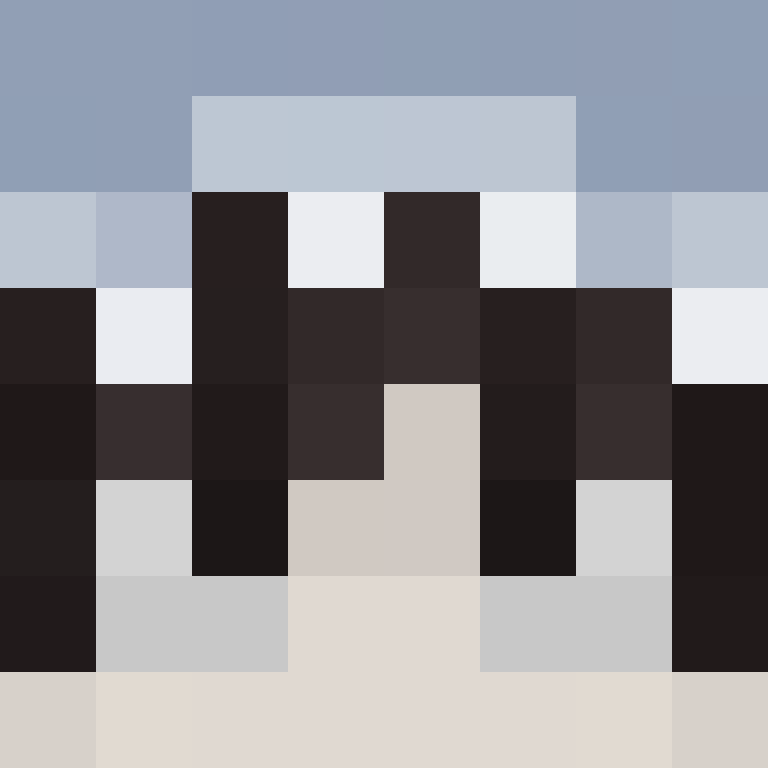 whosLegal's skin