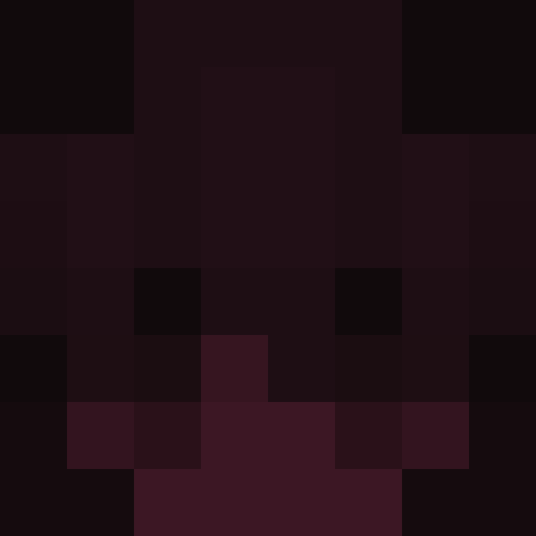 4904's skin