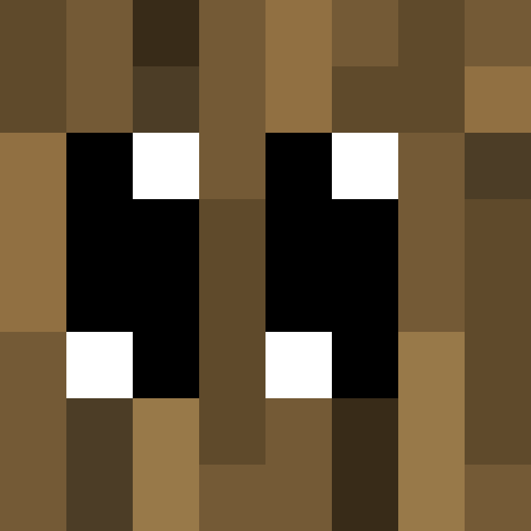 HsVomPir's skin