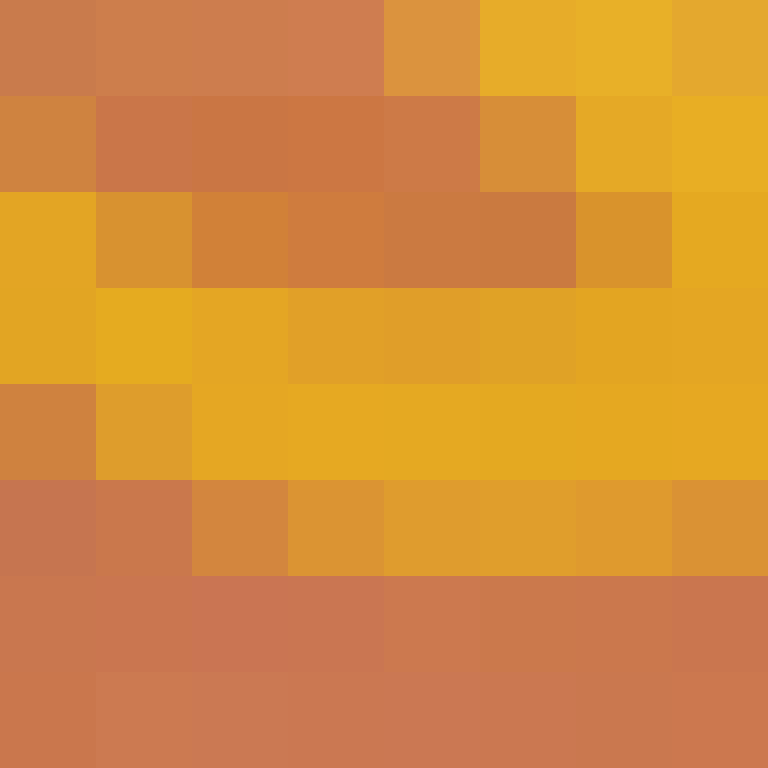 xentany's skin