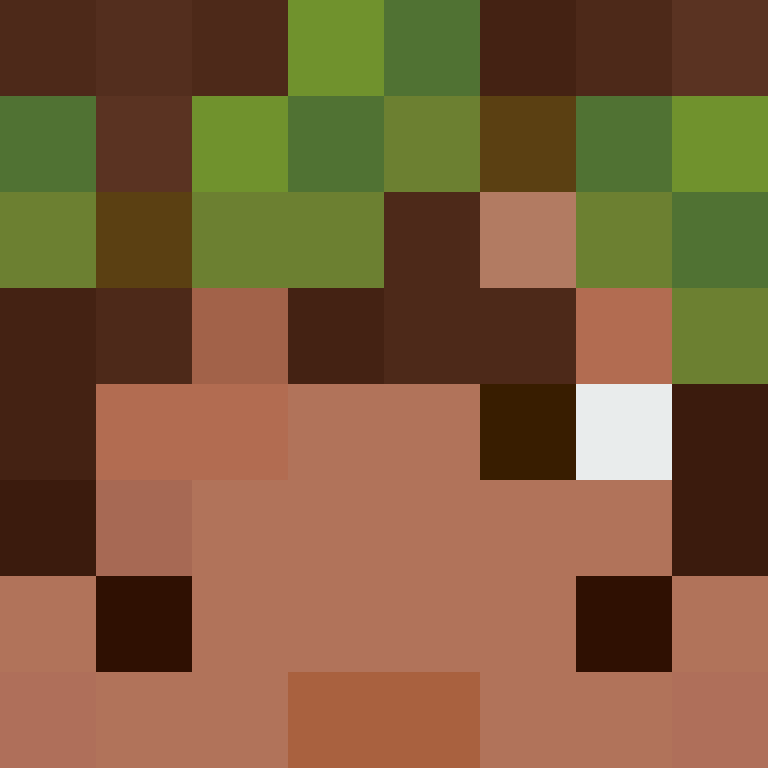 BukkitAPI's skin