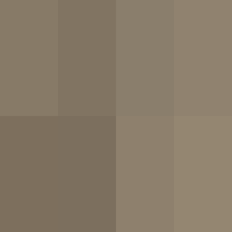 colinPAPA's skin