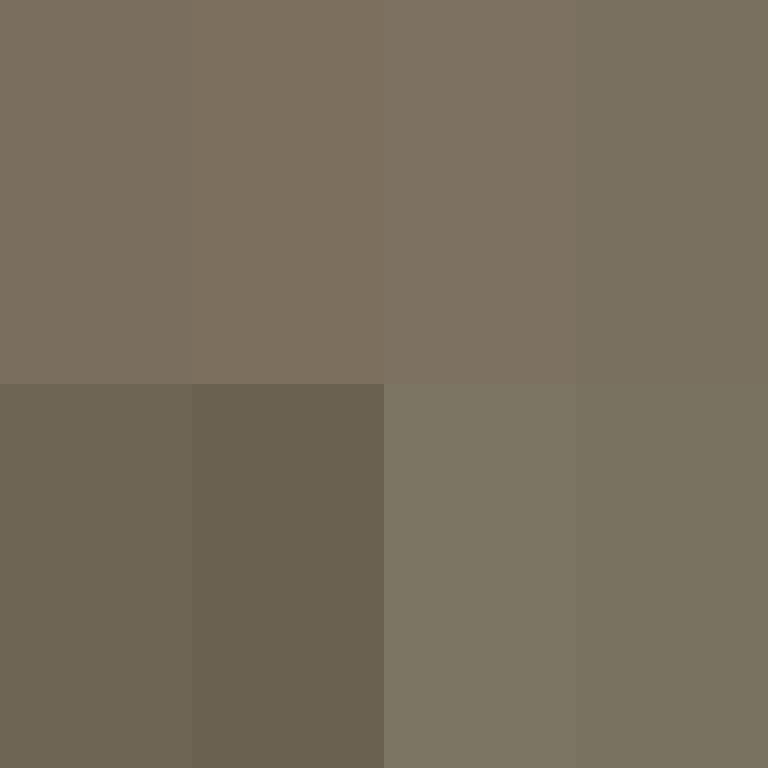 WebNX's skin