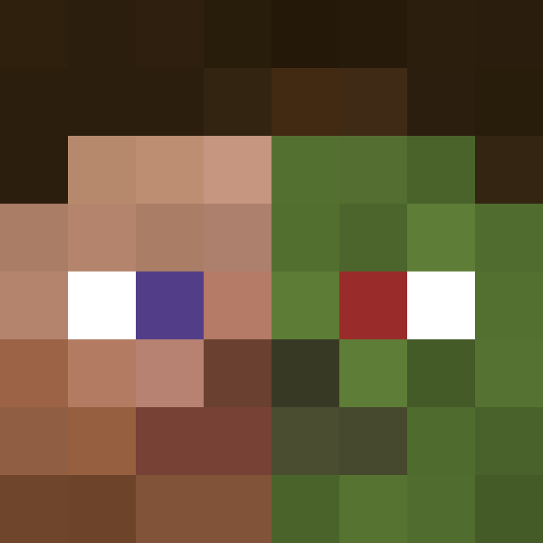 599's skin