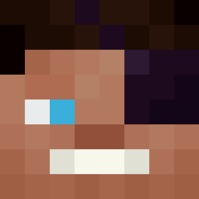 deminecrafterlol's skin