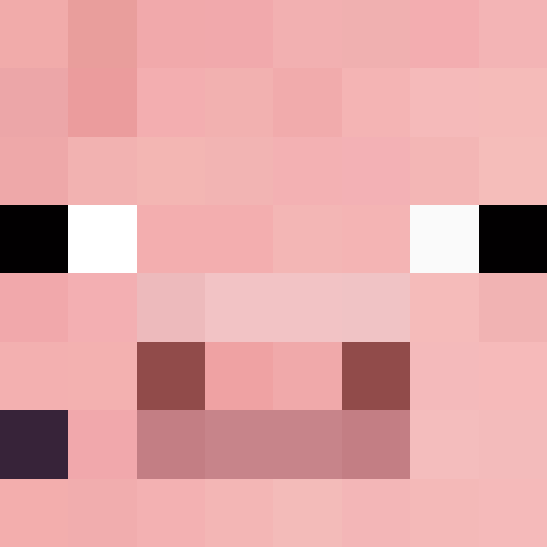 borda1492's skin