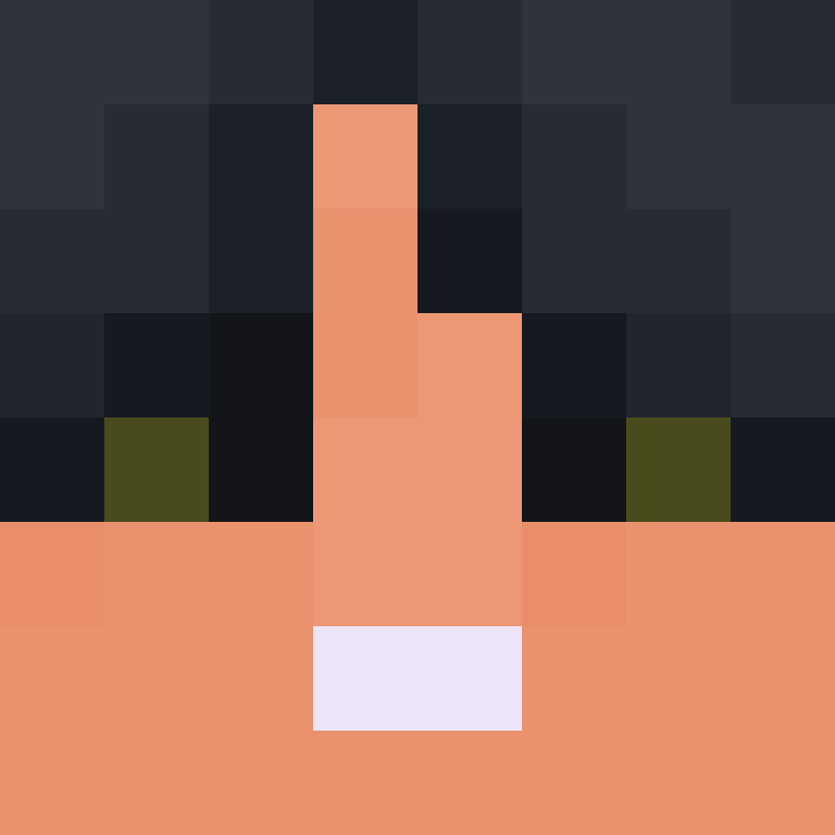 wiredframe's skin
