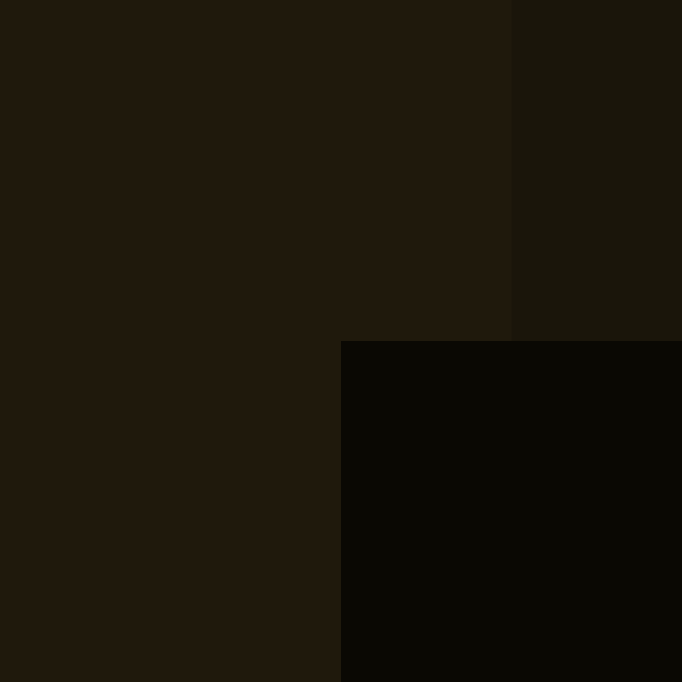 Piedrita17's skin