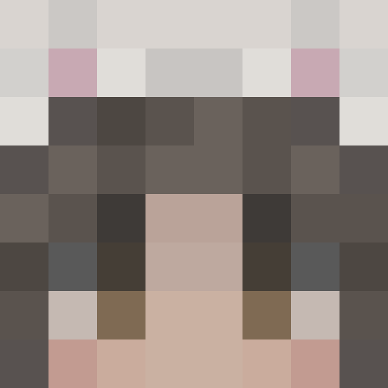 slvd's skin
