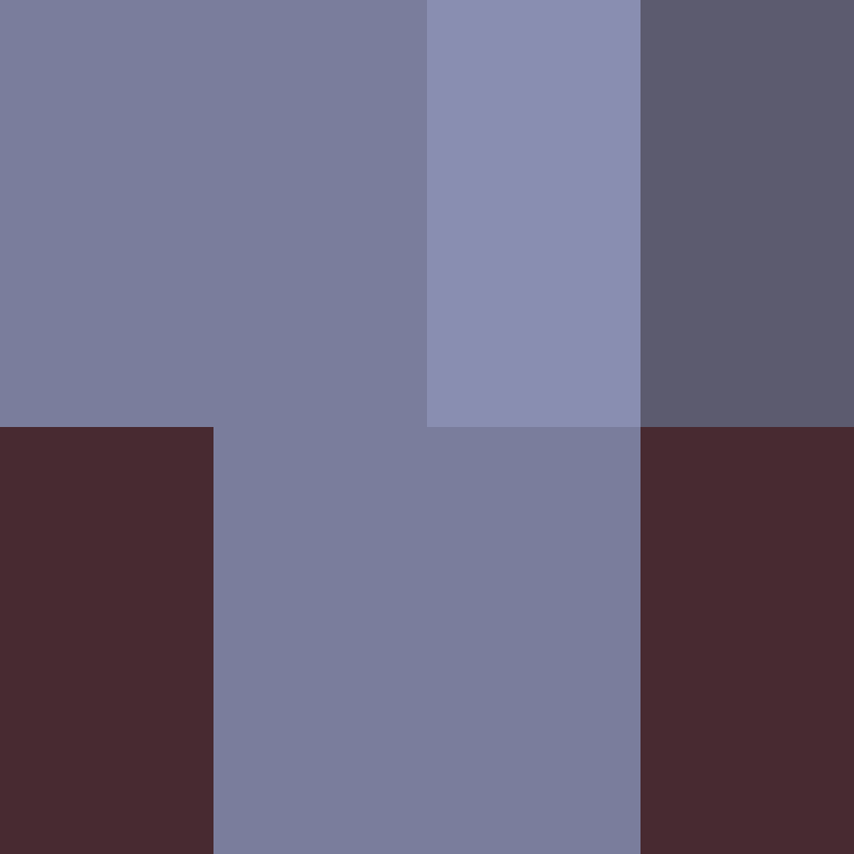 wiredframe's skin