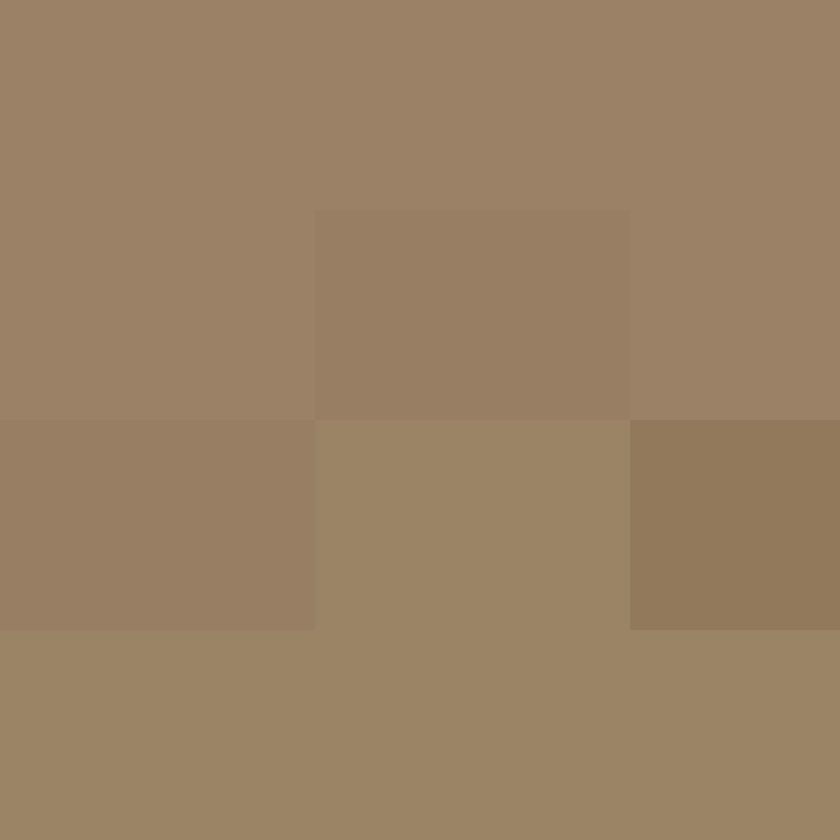 intersecato's skin