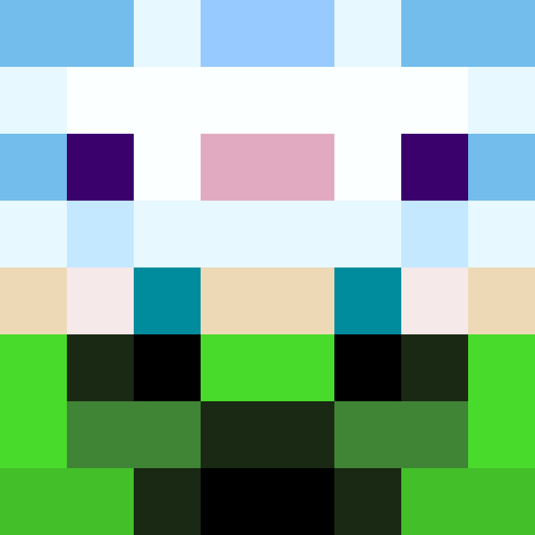 DonaldTrump42's skin