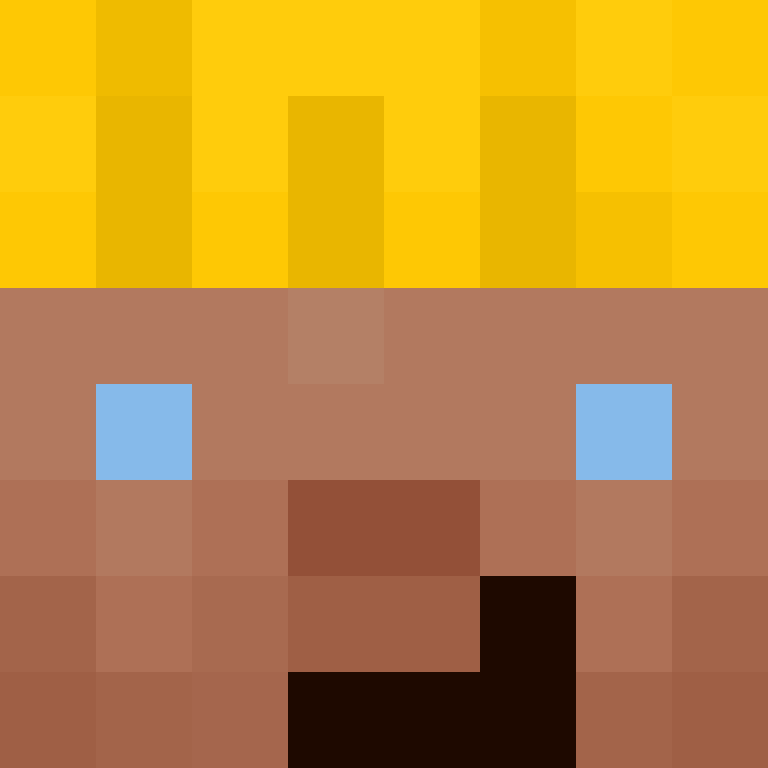 8aca680b22461340's skin