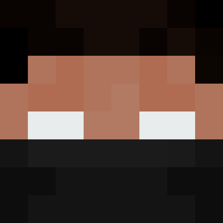 BukkitAPI's skin