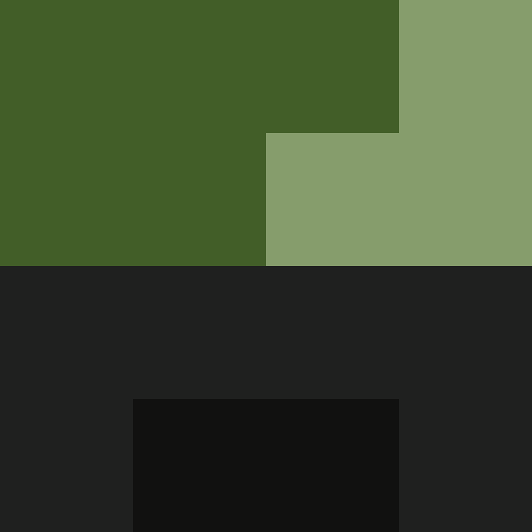 hpyef's skin