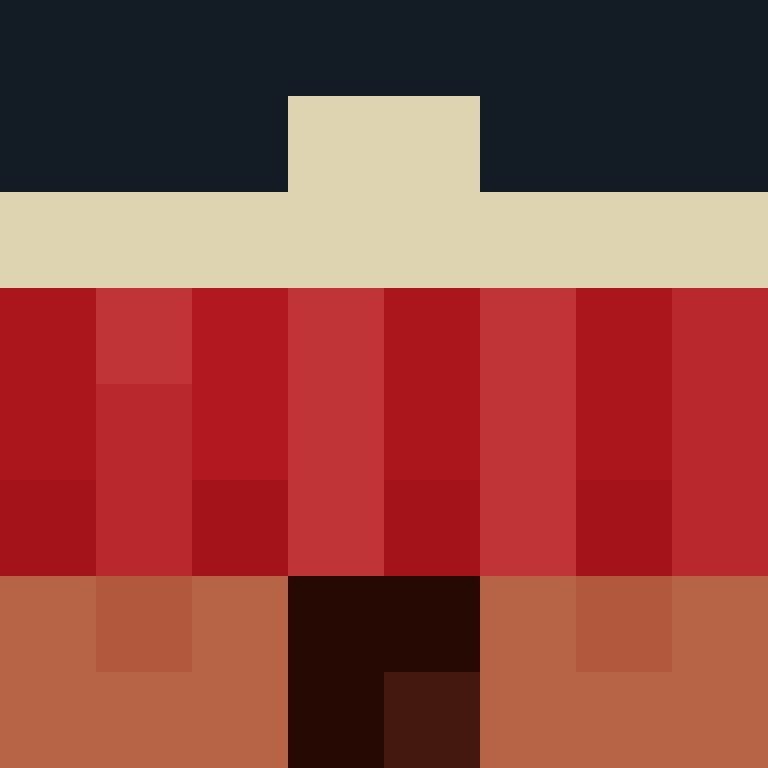 deminecrafterlol's skin