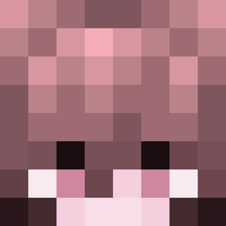 8aca680b22461340's skin
