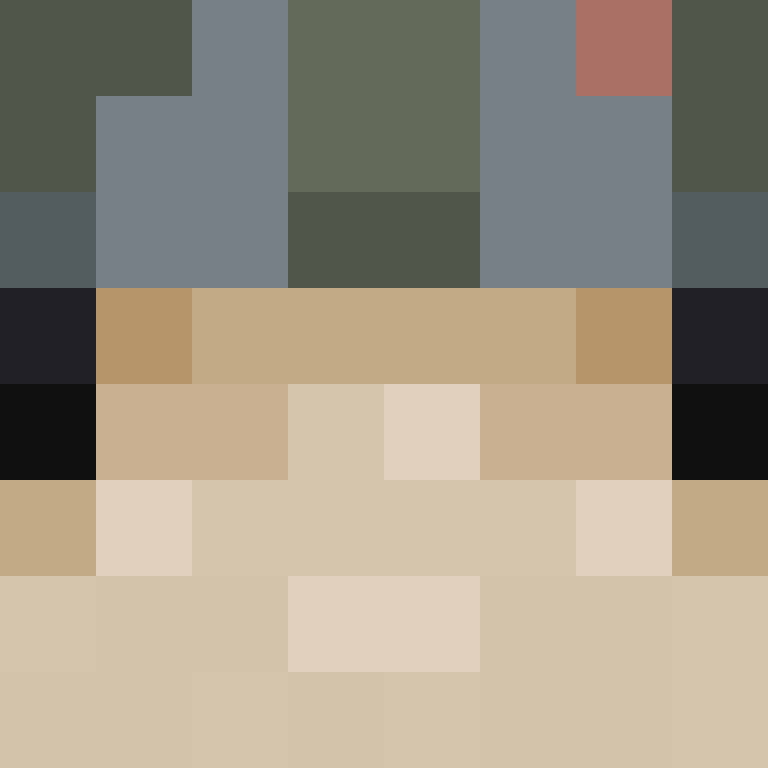 Fibbsh's skin