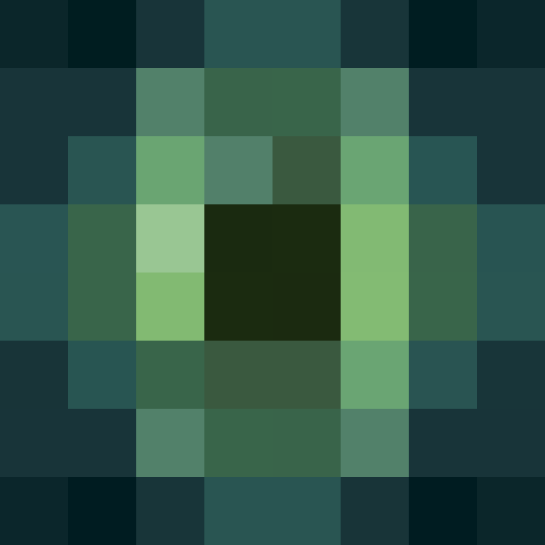 executory's skin
