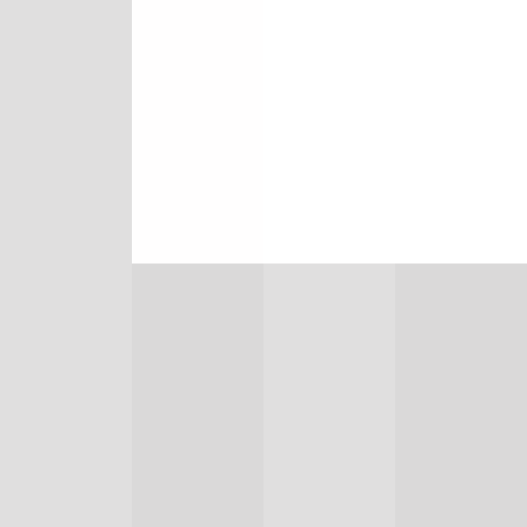 AutoSkin's skin