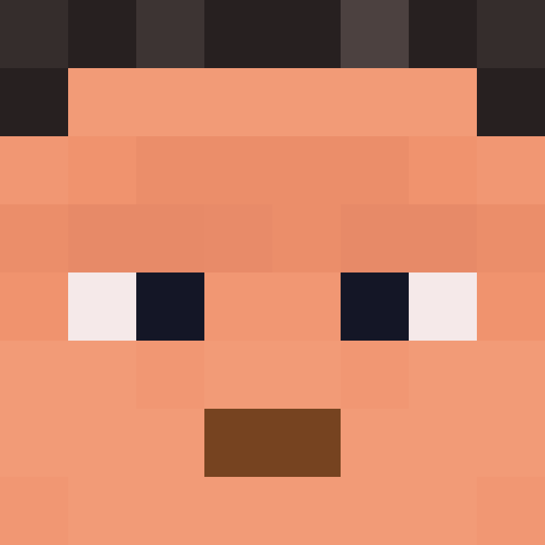 xX_No_Income_Xx's skin