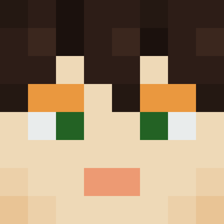 xX_No_Income_Xx's skin