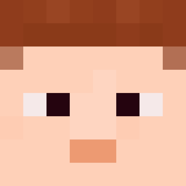 wiredframe's skin