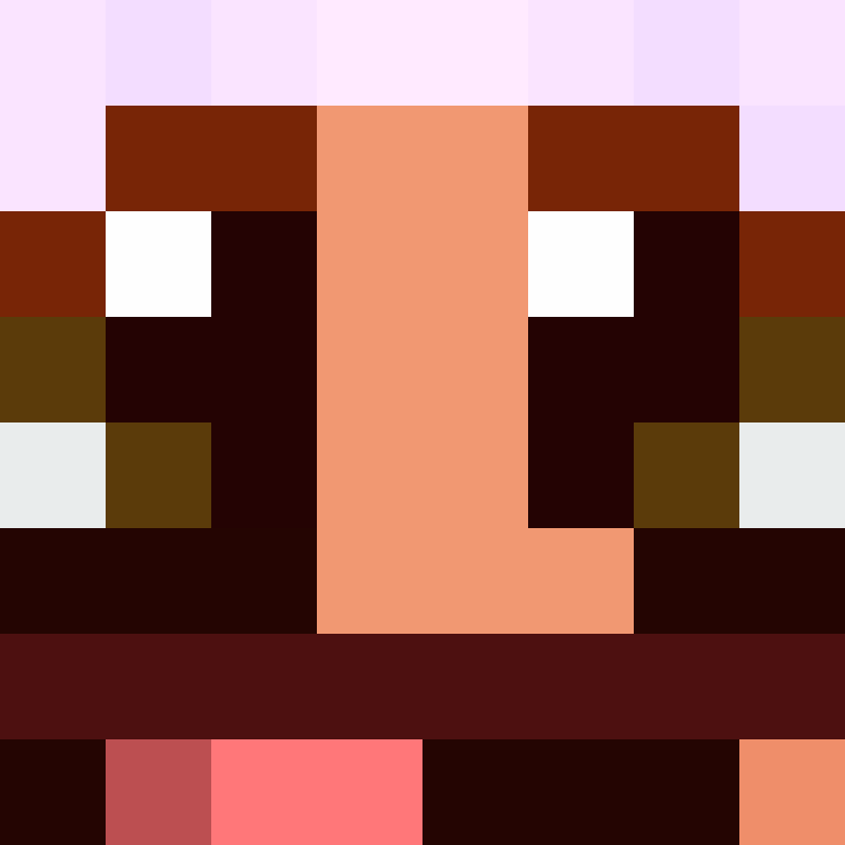 BukkitAPI's skin
