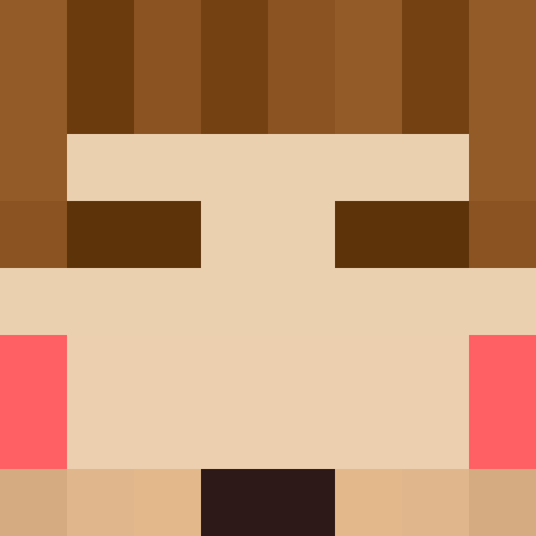 8aca680b22461340's skin