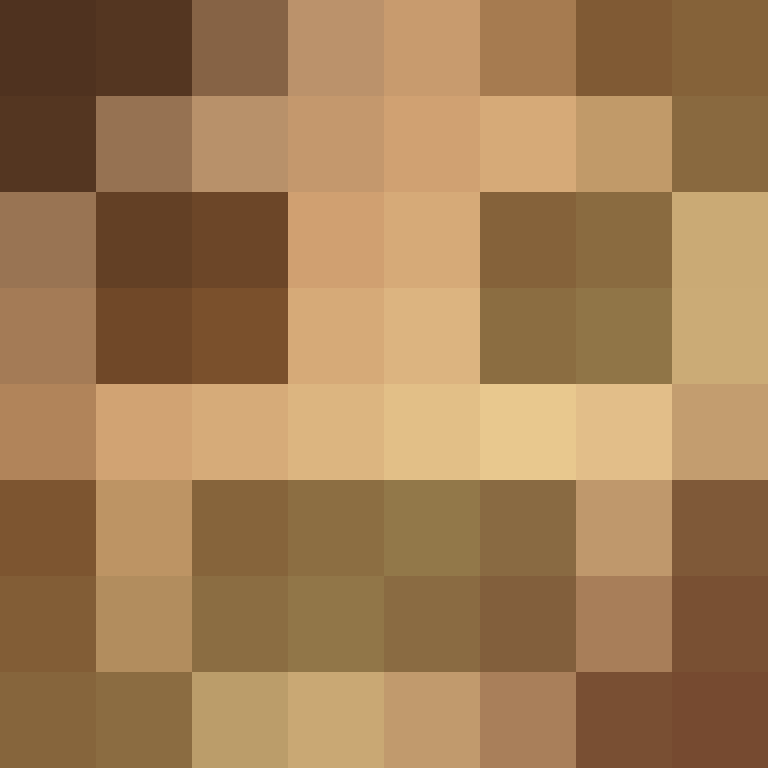 BradBot_2's skin