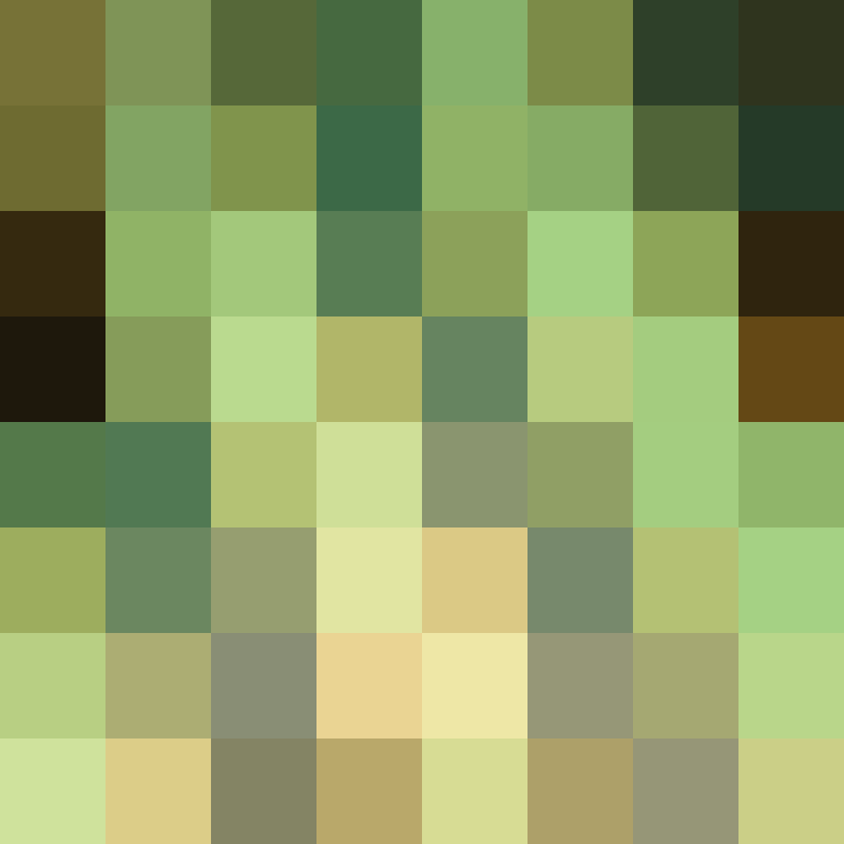 zervation's skin
