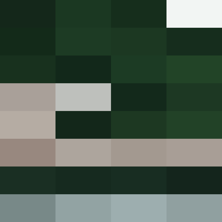 v4r1n's skin