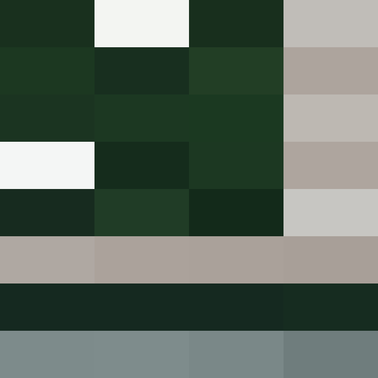 hpyef's skin