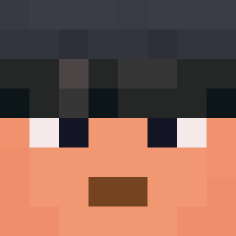 wiredframe's skin