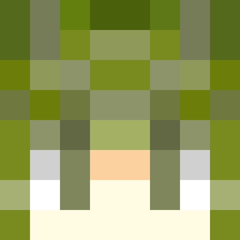 BradBot_2's skin
