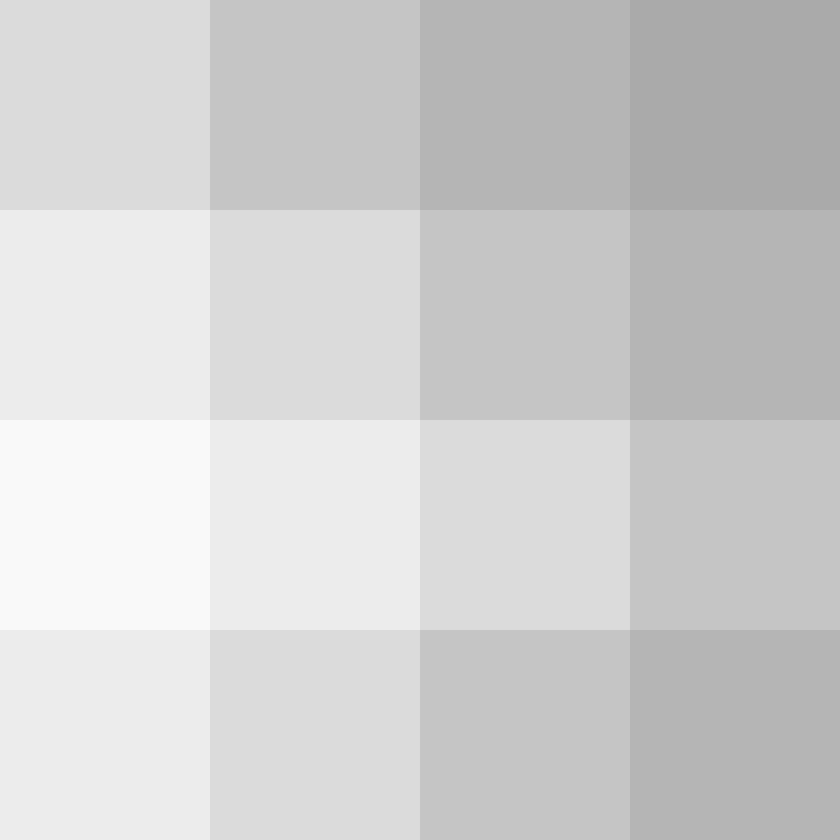 AutoSkin's skin