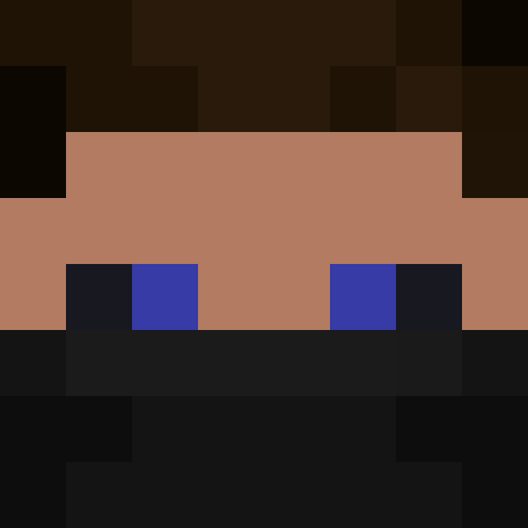 8aca680b22461340's skin