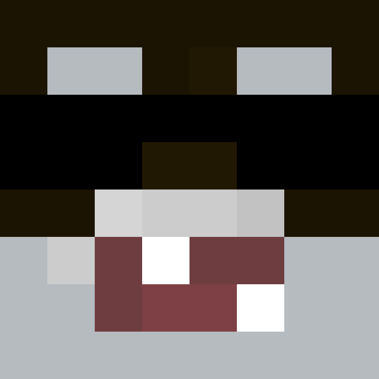 NorthSak's skin