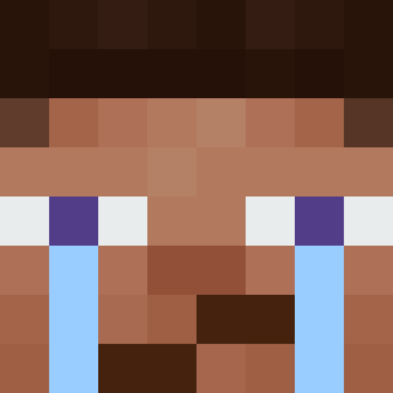 8aca680b22461340's skin