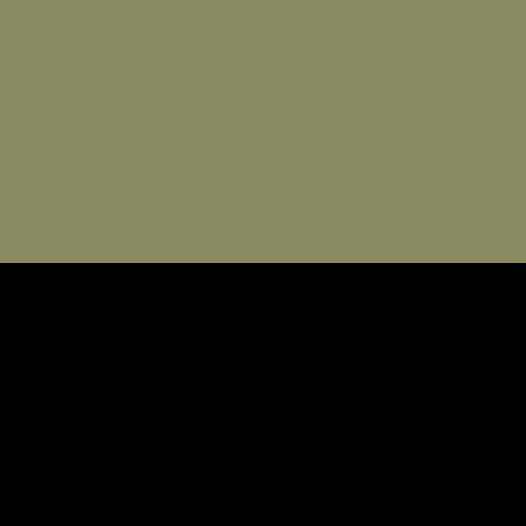 MineSkin_org's skin