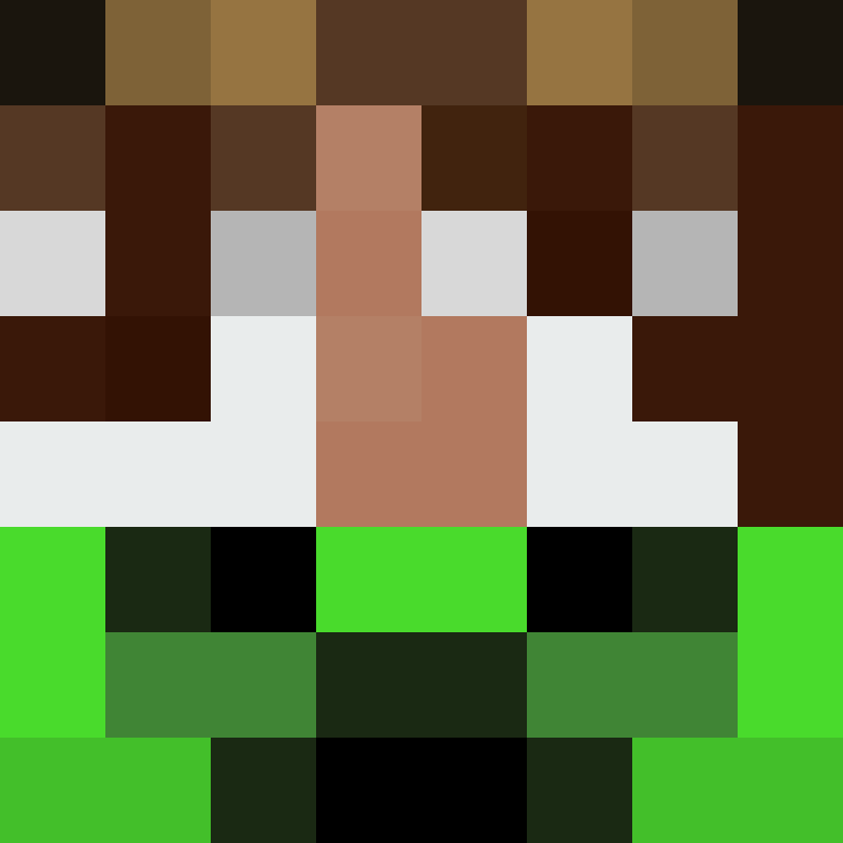 8aca680b22461340's skin