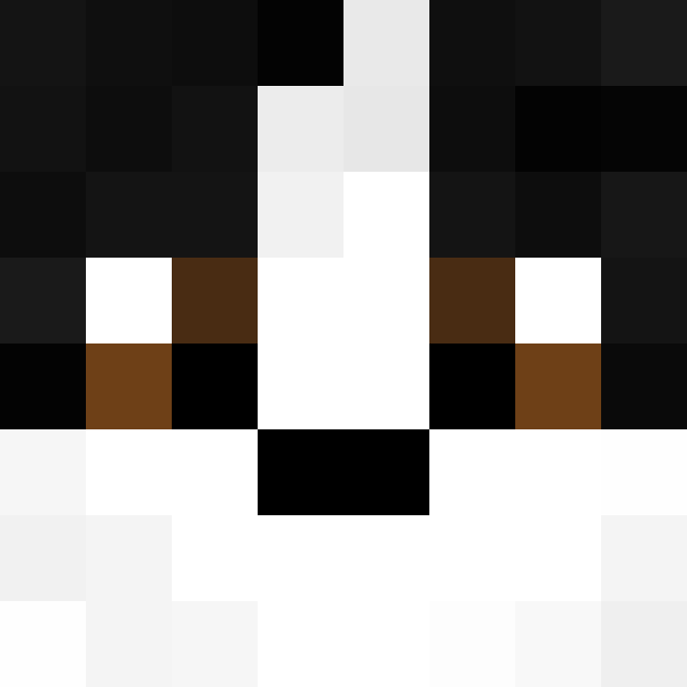deminecrafterlol's skin