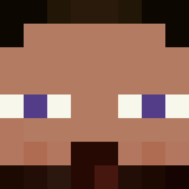 wiredframe's skin