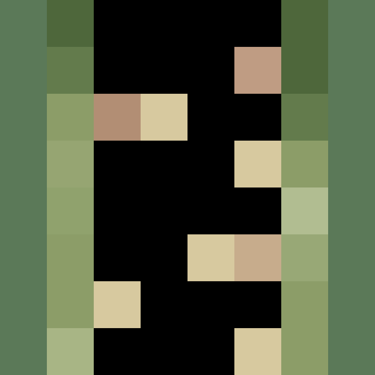 bigibos321's skin