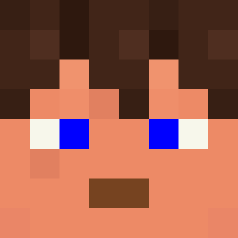 8aca680b22461340's skin